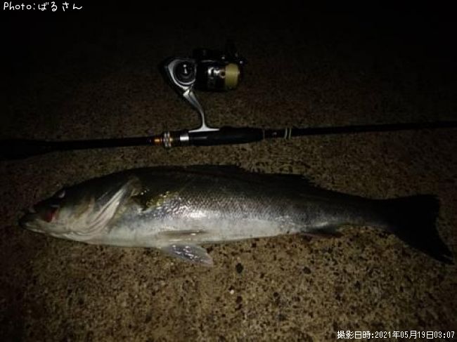 �����Х�