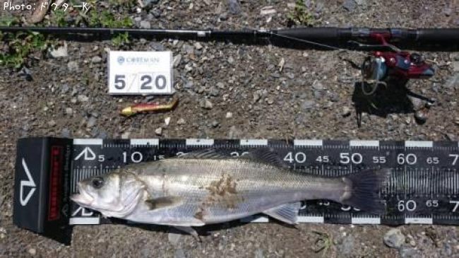 �����Х�