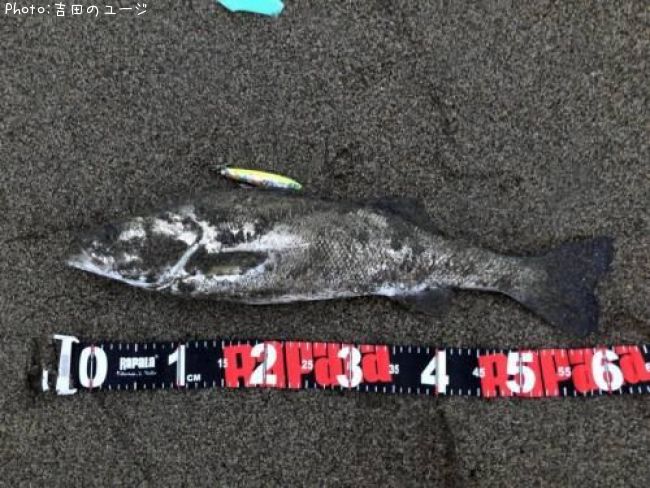 �����Х�