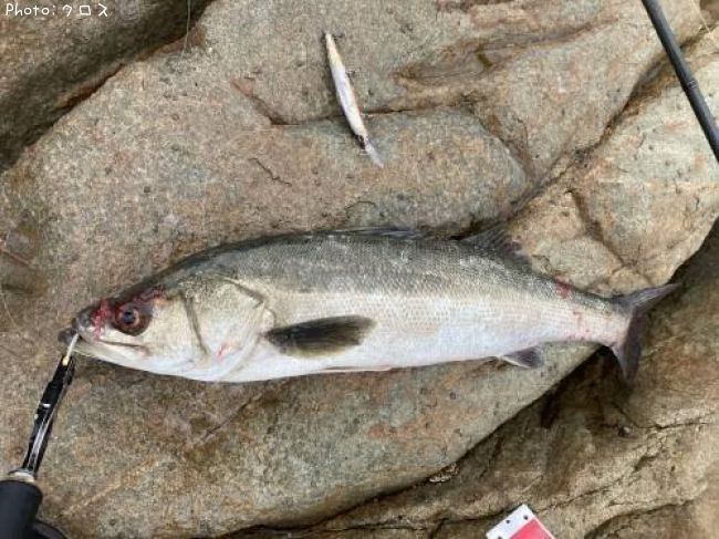 �����Х�