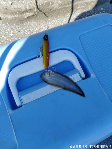 �ե�åȥե��å���