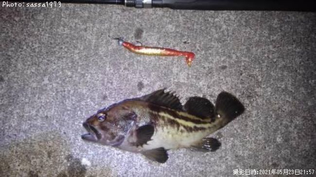 ���ޥ���