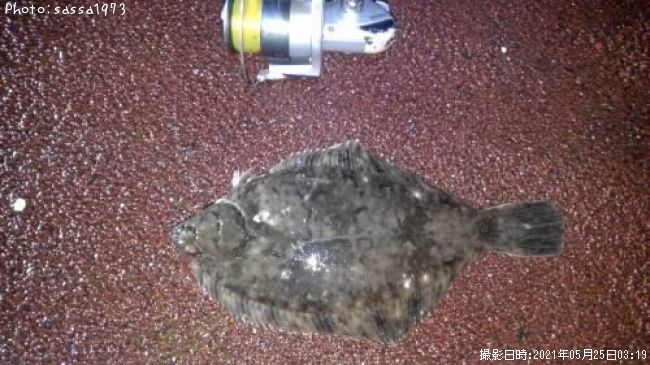 ��Ƭ���줤