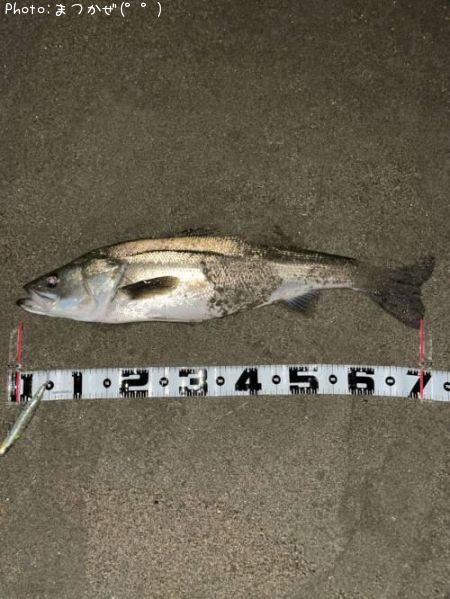 �����Х�