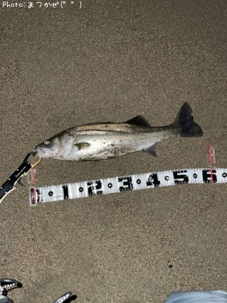 �����Х�