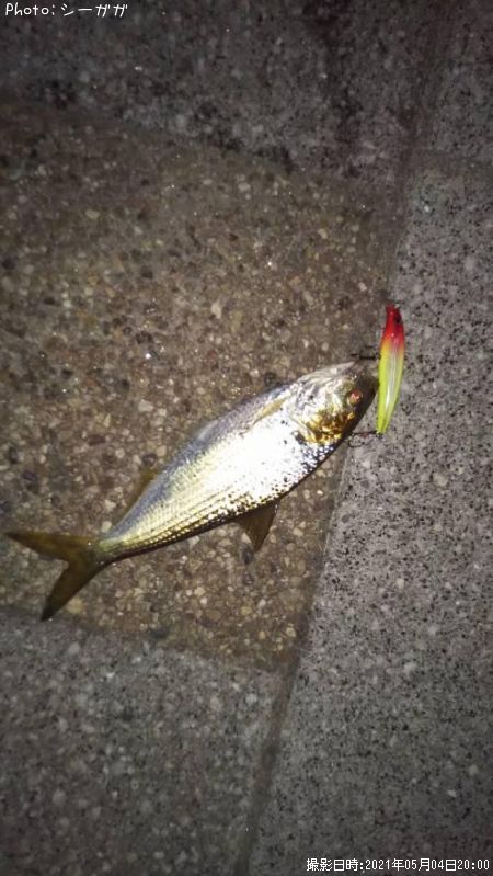 ���Υ���