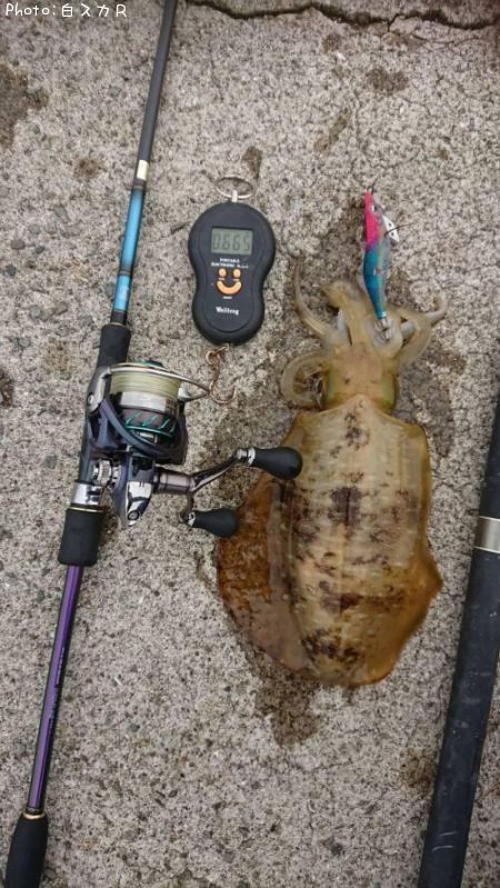 �����ꥤ��