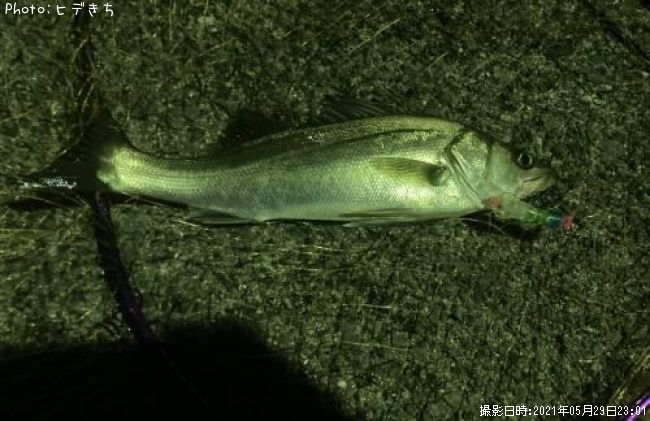 �����Х�