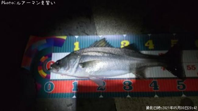 �����Х�