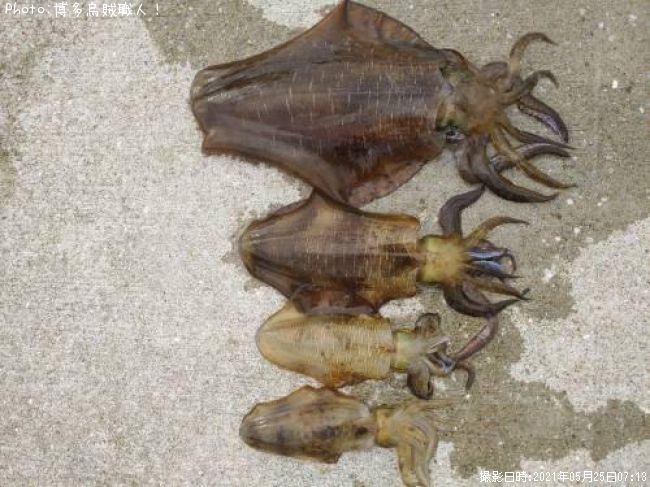 �����ꥤ��