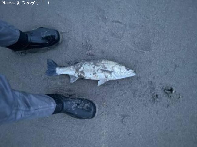 �����Х�