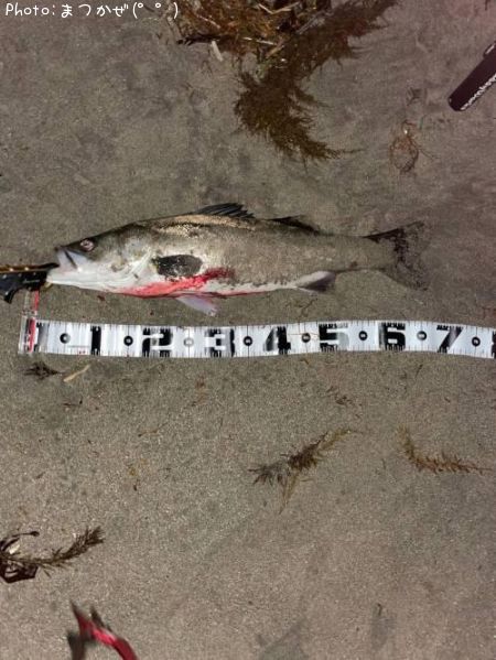 �����Х�