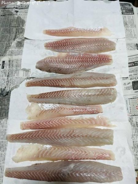 �����Х�