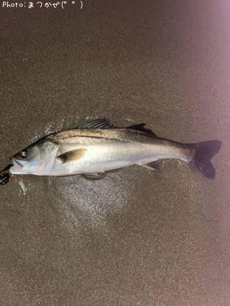 �����Х�