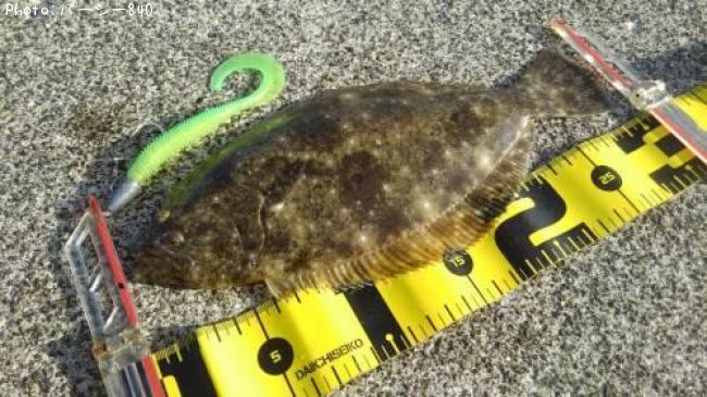 �ҥ��ʥ�����