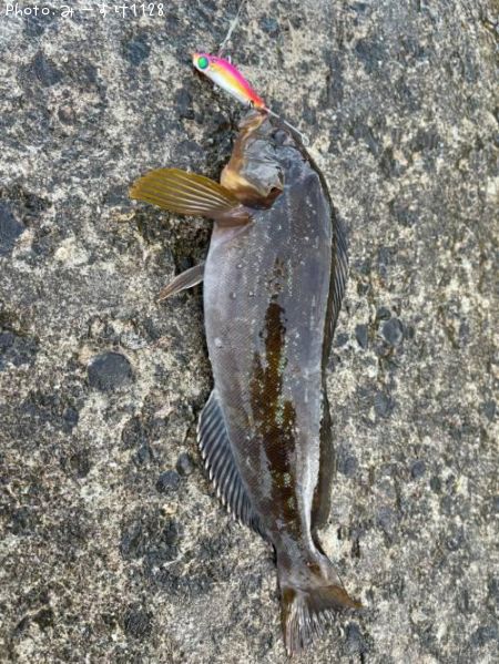 �����ʥ�