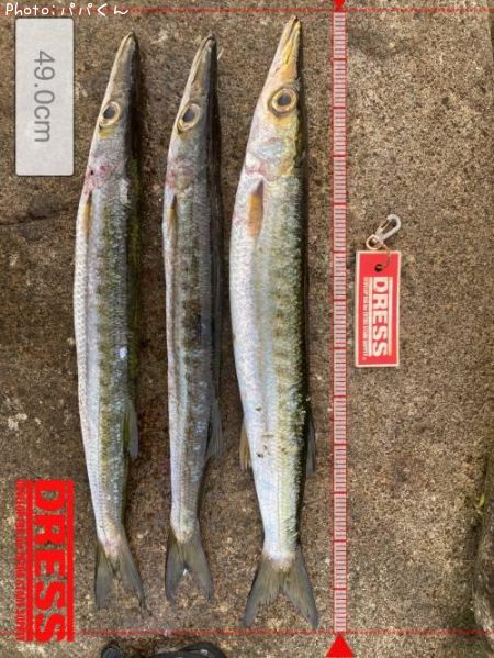 ������󥫥ޥ�