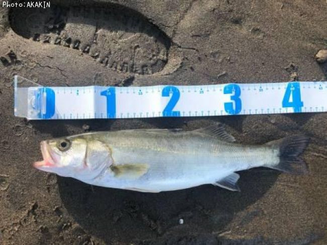 �����Х�