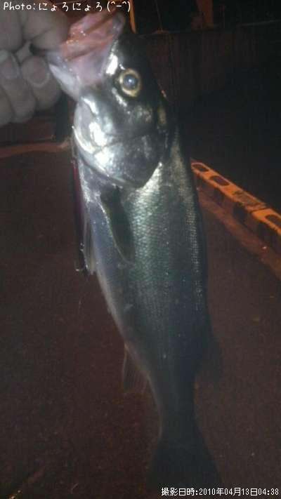 �����Х�