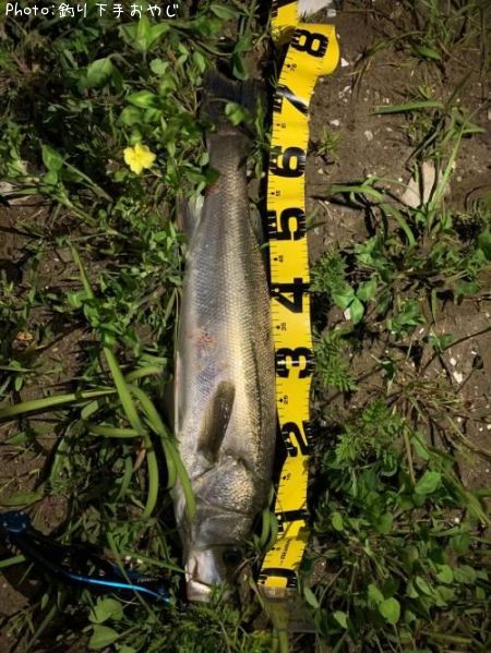 �����Х�