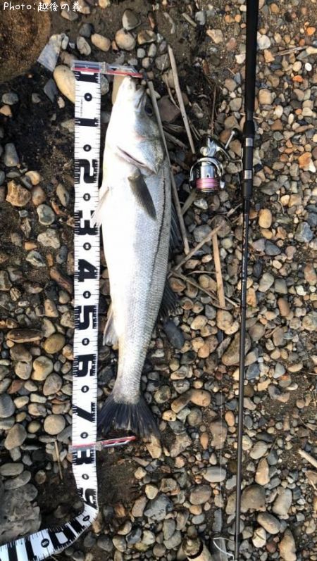 �����Х�