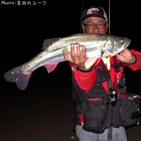 �����Х�