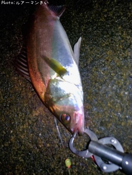 �����Х�