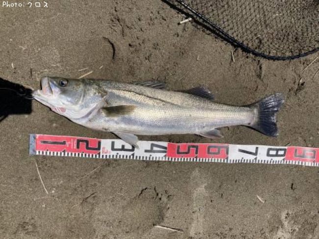 �����Х�