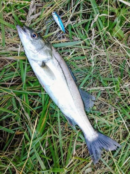 �����Х�