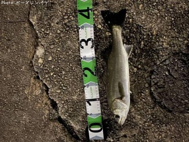 �����Х���