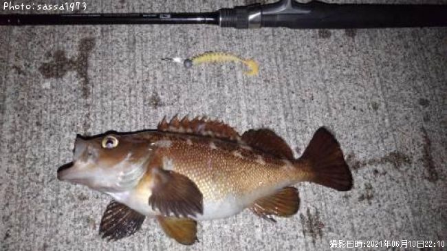 ������Х�