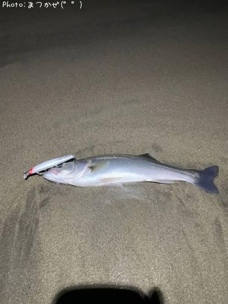 �����Х�