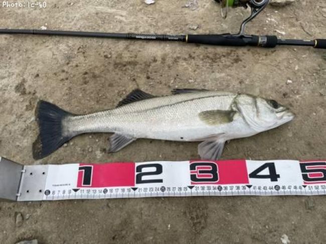 �����Х�