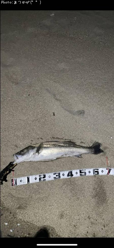 �����Х�