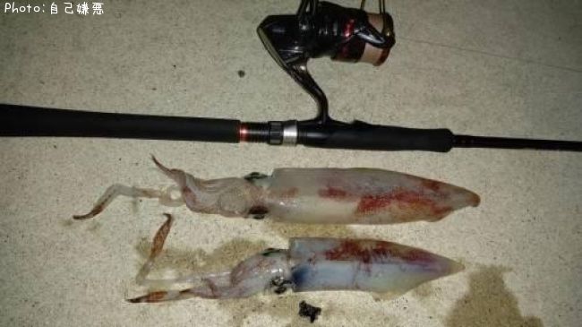 ���󥵥�����