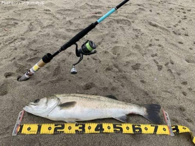 �����Х�