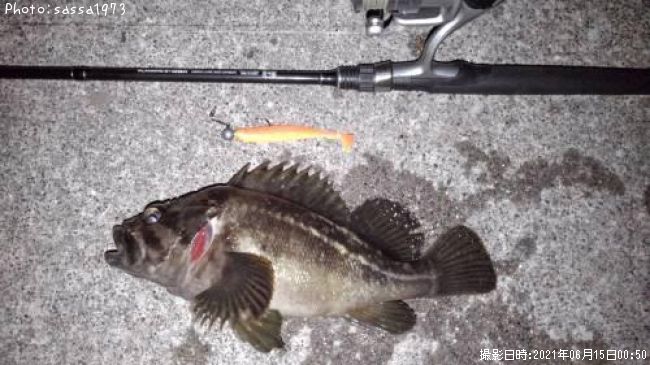 ���ޥ���