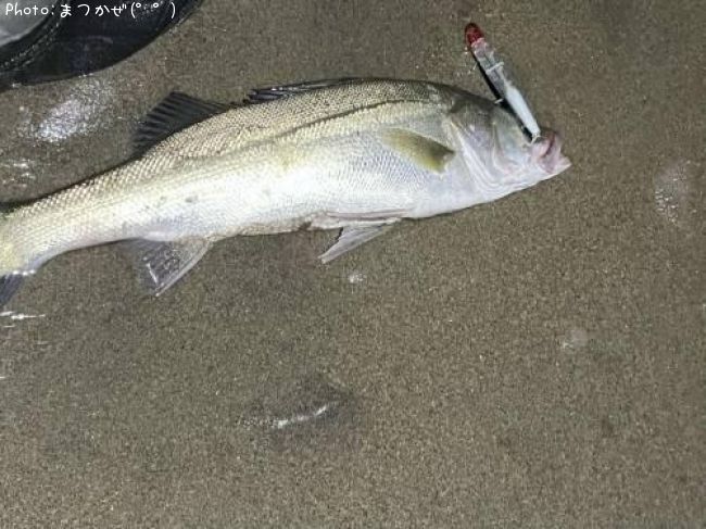 �����Х�