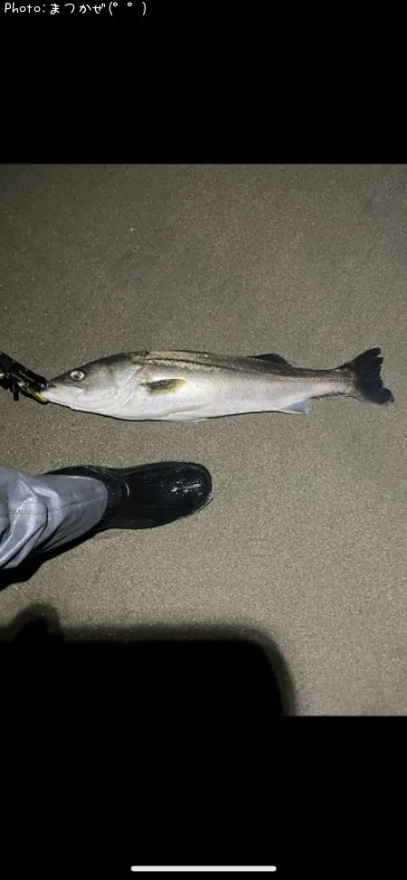 �����Х�