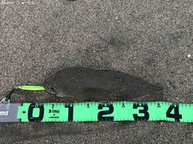 �����ӥ��