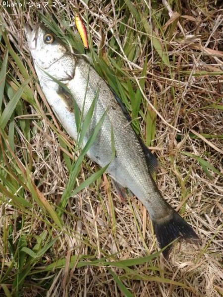 �����Х�