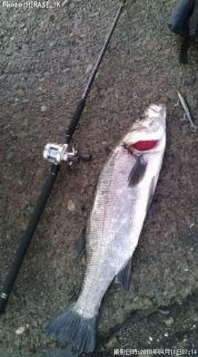 �ҥ饹����