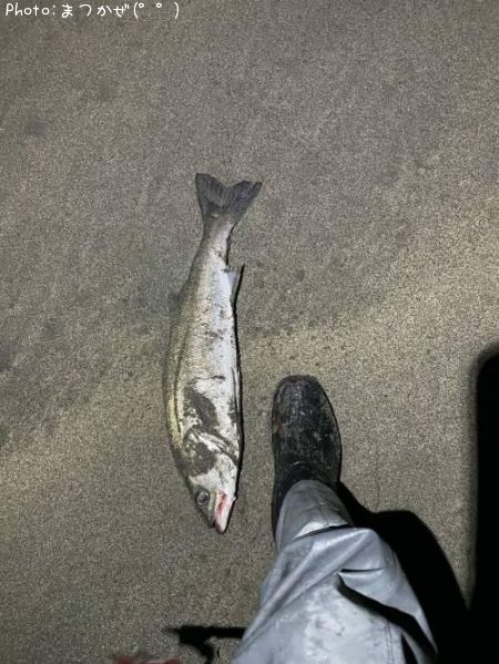 �����Х�