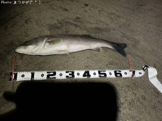 �����Х�