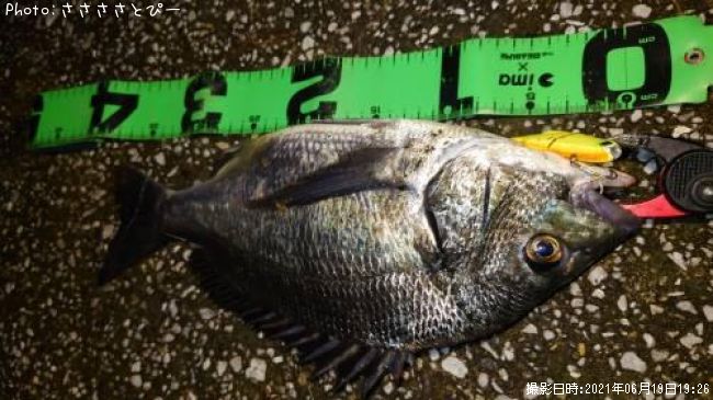 �����������ޥ���