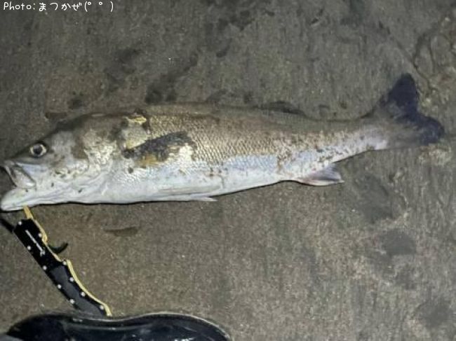 �����Х�