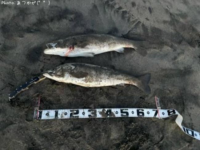 �����Х�