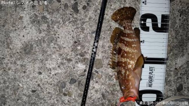 �����ϥ�