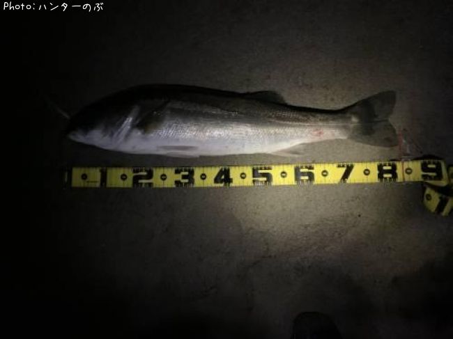 �����Х�