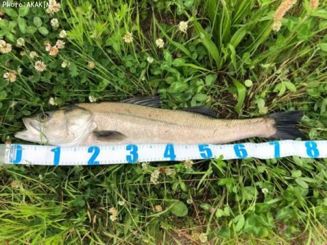 �����Х�